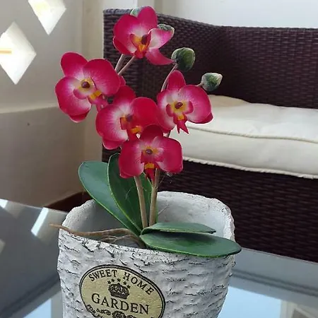 Apartment Nova Torremolinos